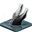 Happy Snapper icon