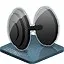 Standards of Physical Perfection icon