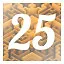 Level 25 icon