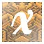 x icon
