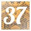 Level 37 icon