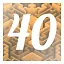 Level 40 icon