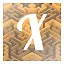 X icon