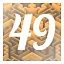 Level 49 icon
