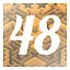 Level 48 icon