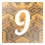 Level 9 icon