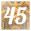 Level 45 icon