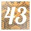 Level 43 icon