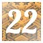 Level 22 icon