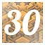 Level 30 icon
