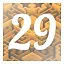 Level 29 icon