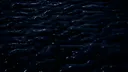AENIGMA Demo Screenshot 6
