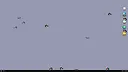 Birch Screenshot 1