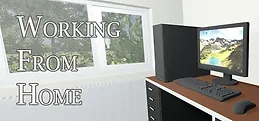 Working From Home