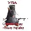 Opa icon