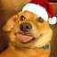 Happy Dog Year and Doggy Christmas! icon