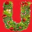 U icon