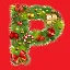 P icon