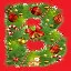 B icon