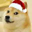 Happy Dog Year and Doggy Christmas! icon