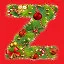 Z icon