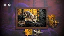 Puzzles: Dog Screenshot 3