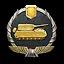 Invulnerable icon