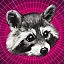 Raccoon poloskun icon