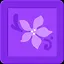 Rainforest Explorer icon