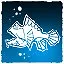 Do not feed the fish! icon