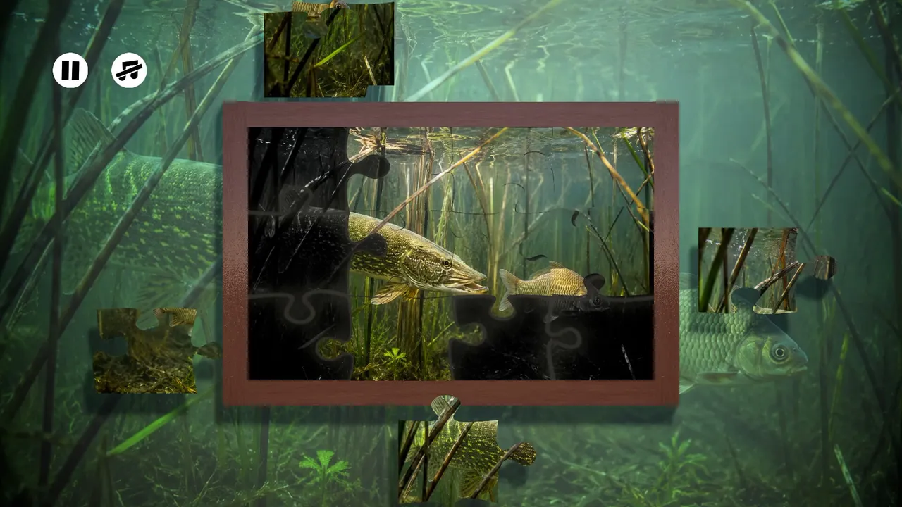 Puzzles: Fish Screenshot 0