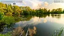 Live Fishing Screenshot 0