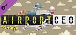 Airport CEO - Vintage