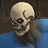The Skull