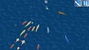 Squoids Screenshot 3