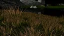 Freedom: A Time to Reckon Screenshot 6