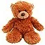 Teddy Bear icon