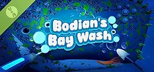 Bodian's Bay Wash Demo