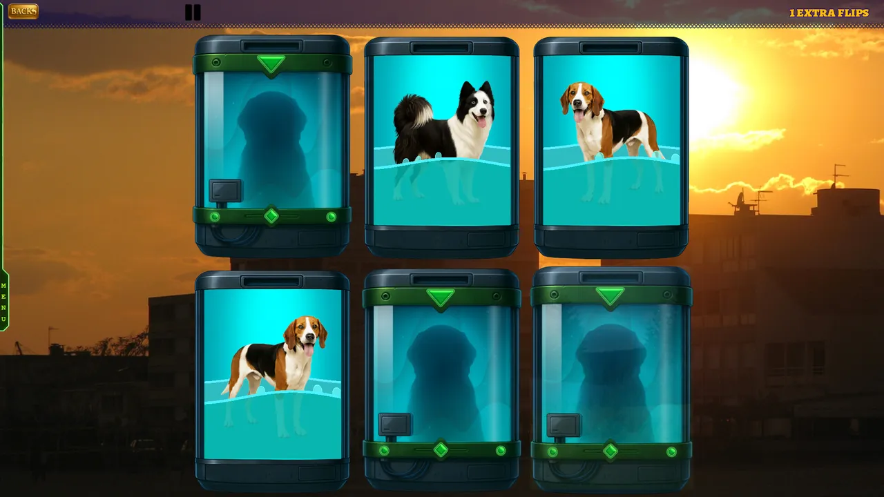 Tails in Pairs Screenshot 0
