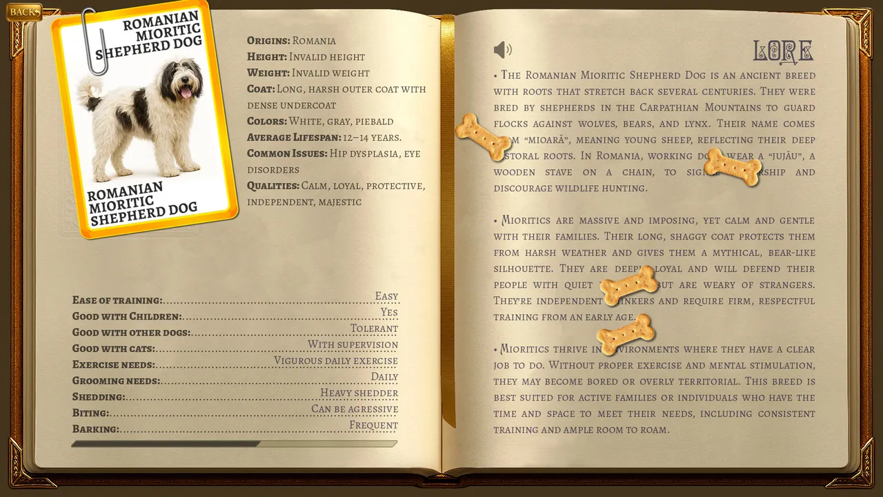 Tails in Pairs Screenshot 4
