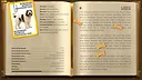 Tails in Pairs Screenshot 4