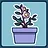 Let’s grow!