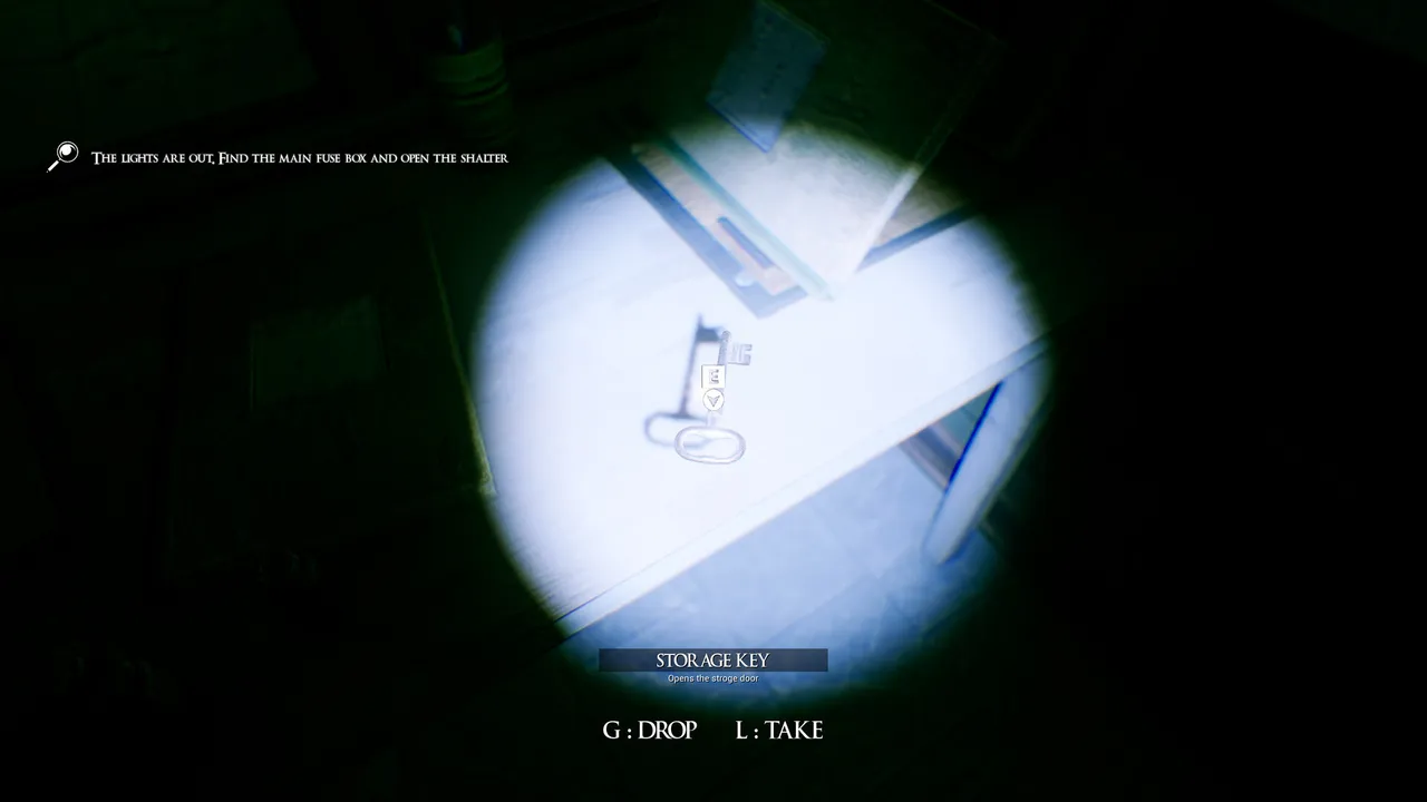 Phantom Veil Screenshot 12