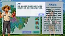 Know Lychees / 来高州识荔枝 Screenshot 1