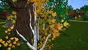 Medieval Lands Screenshot 28