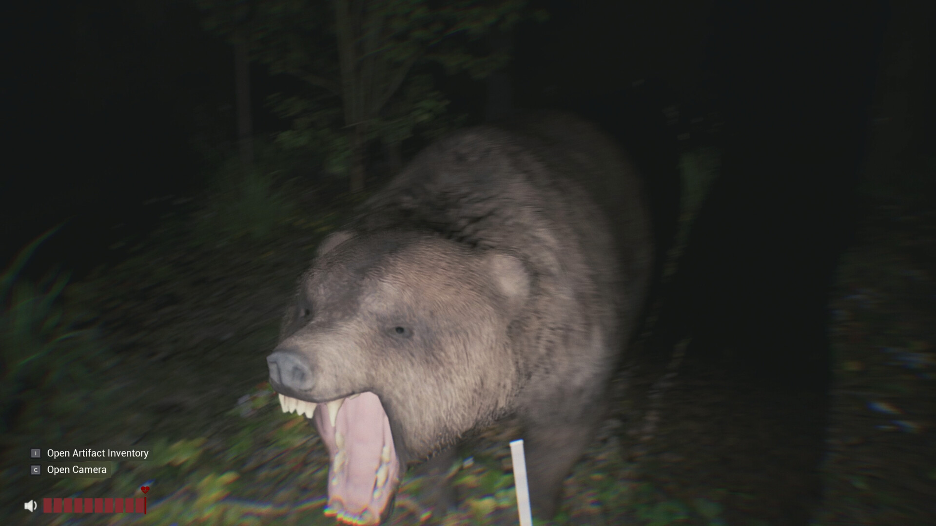 Sector 13: Haunted Woods Demo Screenshot 2