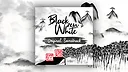 Black Zen White Original Soundtrack Screenshot 0
