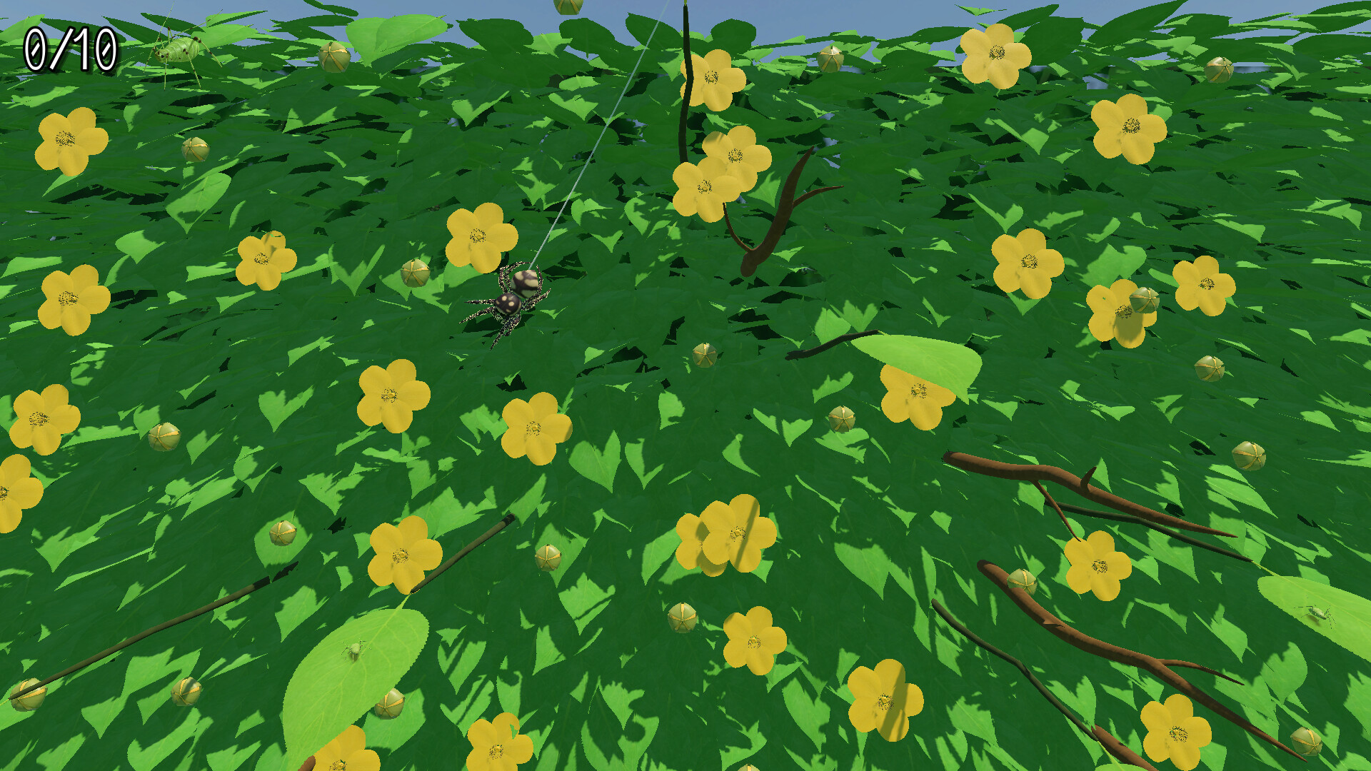 A little Jumpingspider's Garden Adventure (Day 1+2) Screenshot 6