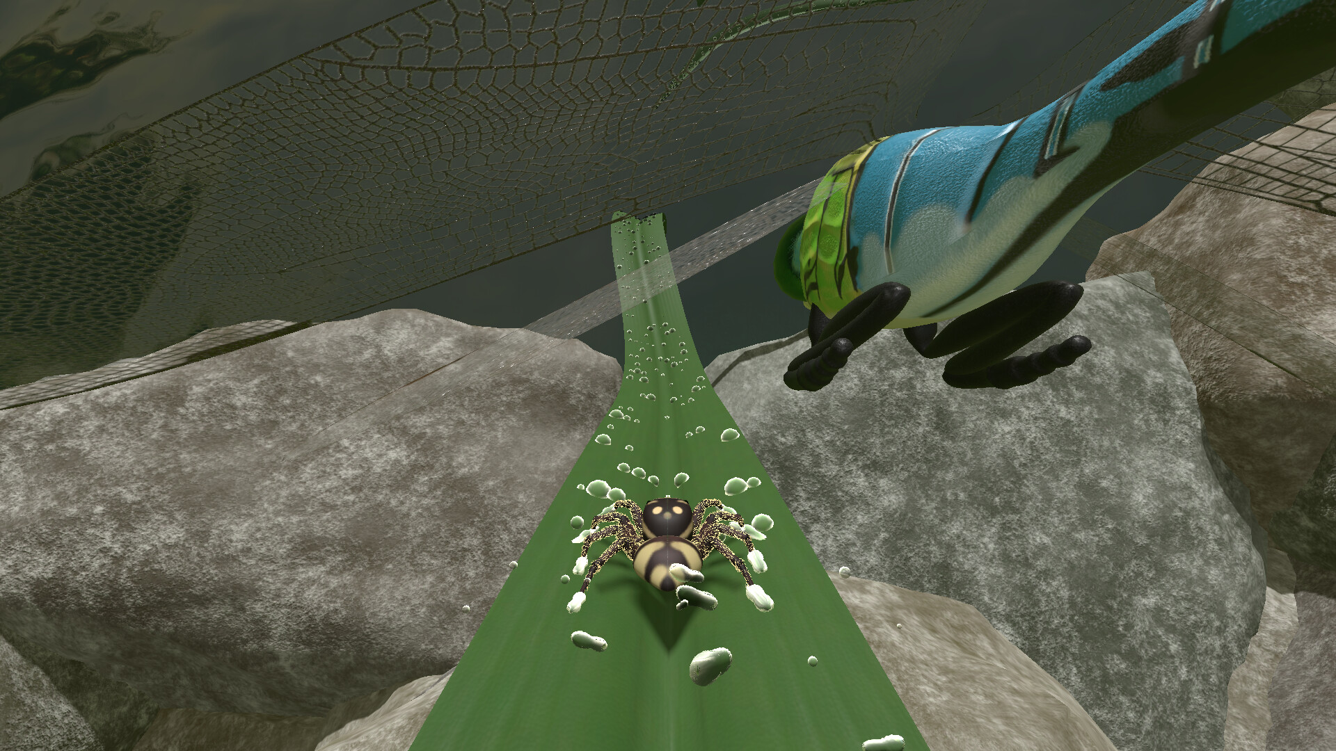 A little Jumpingspider's Garden Adventure (Day 1+2) Screenshot 5