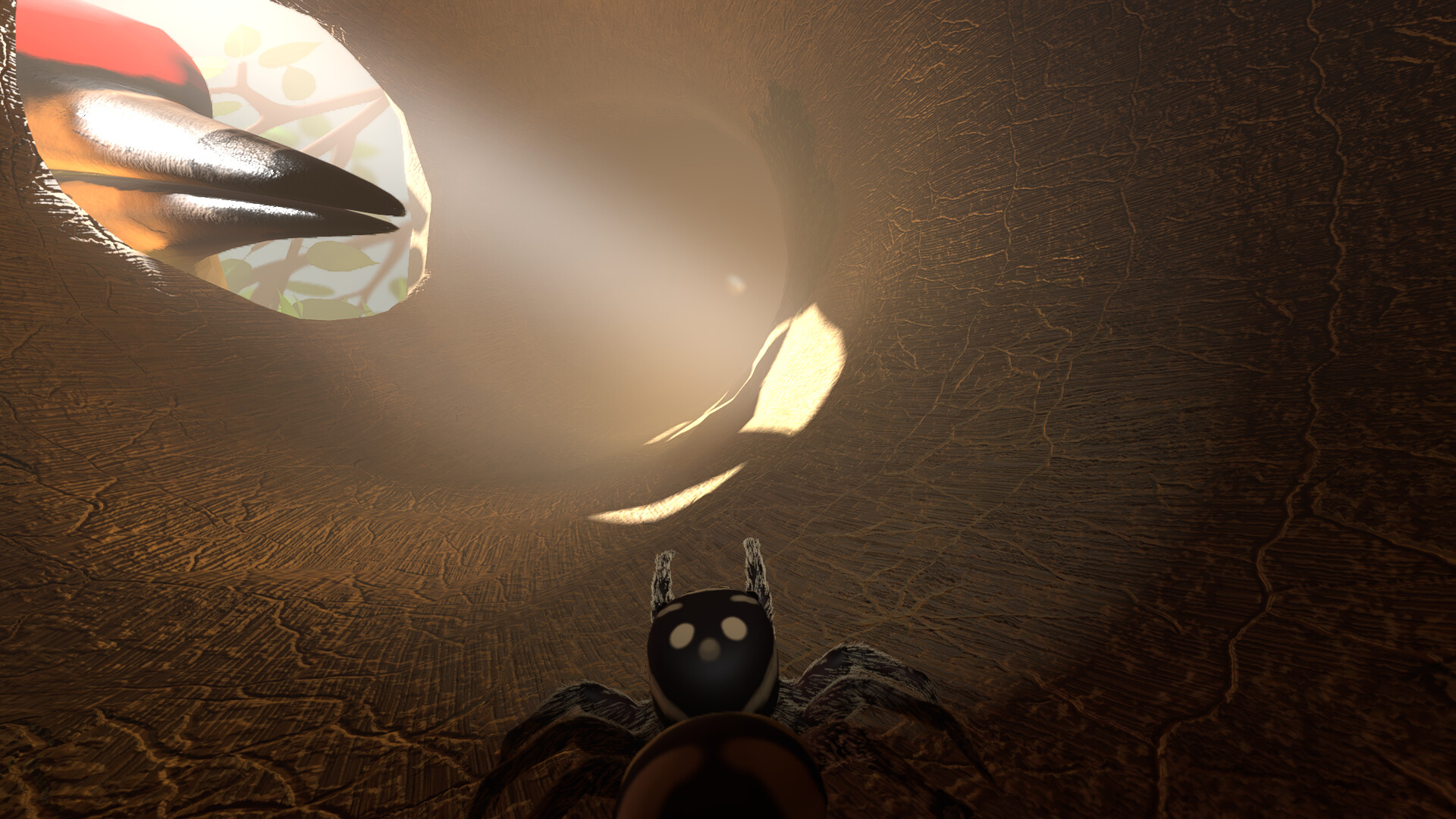 A little Jumpingspider's Garden Adventure (Day 1+2) Screenshot 10